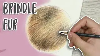 How To Draw BRINDLE FUR with Colored Pencil