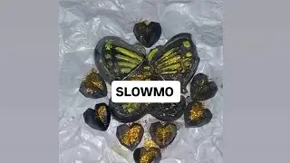SLOWMO OF BLACK CRUSH 😍 