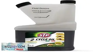 STP Premium 2 Cycle Oil with Fuel Stabilizer 16 Fl Oz