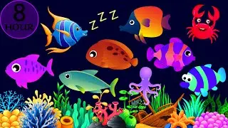 Sleep Instantly Within 3 Mins ♥ Mozart Brahms & Lullaby ♫ Lullaby for Babies to Go to Sleep Fast#274
