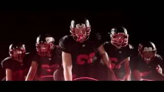 Düsseldorf Panther - Mein Team
