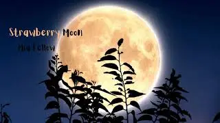 STRAWBERRY MOON, Saturday&acute;s night fever