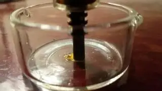 Slow-mo Nectar Collector