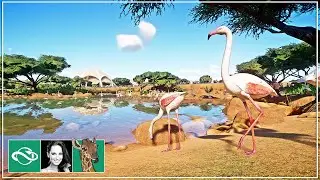 Building a STUNNING African Flamingo Wildlife Park Habitat in Planet Zoo