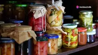 Delicious June Plum Recipes You Must Try