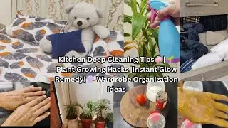 ✨Kitchen Deep Cleaning Tips🧼|🌱Plant Growing Hacks |Instant Glow Remedy|👚 Wardrobe Organization Ideas