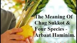 Sukkot -The Meaning of Sukkot and Four Species - Rabbi itzchak lasry