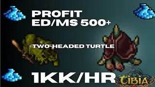 MELHOR PROFIT DE MAGE 500+? TWO-HEADED TURTLE HUNT
