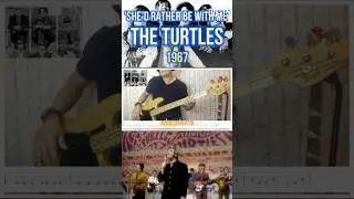 SHE'D RATHER BE WITH ME - TURTLES | FRANKS BASS COVERS #microshorts