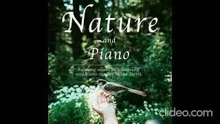 Nature and Piano Heart - 168oto
