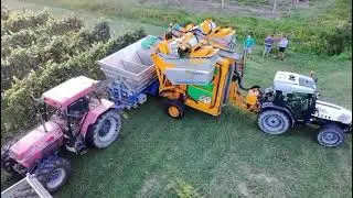 Vendemmia 2025 #agricoltura #newholland #gregoire 
