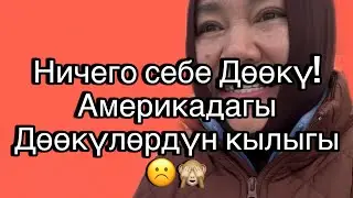  Vlog#70. Кызыл жиндилер Америкада дагы адатын коюшпайт экен го🫣