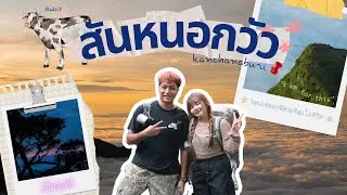 พิชิตสันหนอกวัว ตามล่าทะเลหมอก กับยอดเขาที่สูงที่สุดในกาญจนบุรี