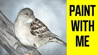 Real Time Watercolor Tutorial: Fluffy Sparrow