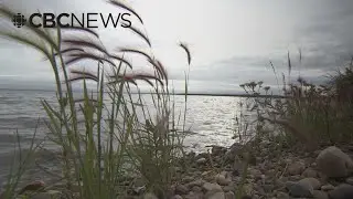 Indigenous-led conservation efforts in Canada are working: study