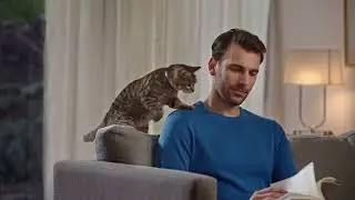 Purina&reg; Cat Chow&reg; con Defense Plus&reg;