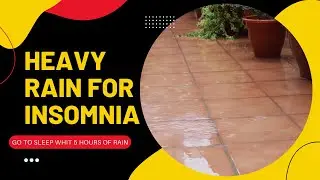 Sounds Rain for Insomnia - Relaxing - Yoga - Deep Sleep - Reax Time - 5 Hours