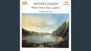 Piano Trio No. 1 in D Minor, Op. 49, MWV Q29: I. Molto allegro agitato
