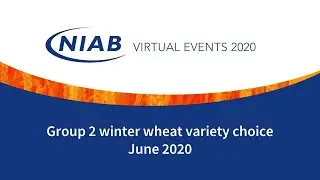NIAB Group 2 winter wheat variety choice (June 2020)