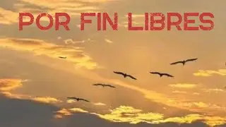 Por fin libres#venezuelalibre #músicanostálgica 