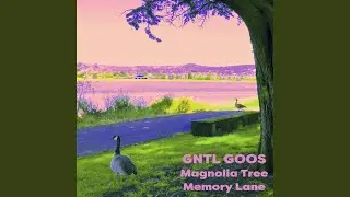 Magnolia Tree