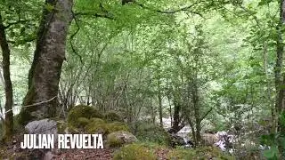 GRANDES DE LA TONADA MONTAÑESA