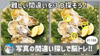 『間違い探し』写真で脳トレ！ #1188 「恵比寿牡蠣」「草津温泉の公園」「桜の太い幹」【高難易度】｜Find the difference game in photos