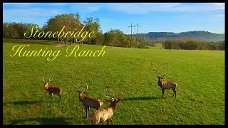 Stonebridge Hunting Ranch - Stoystown, PA