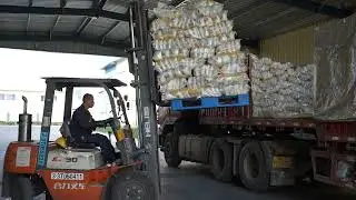 Pet Food Export Loading &ndash; Forklift & Manual Coordination