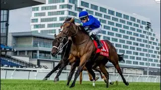 CORSIA VELOCE wins the G1 Natalma Stakes and going to the Breeders&rsquo; Cup!