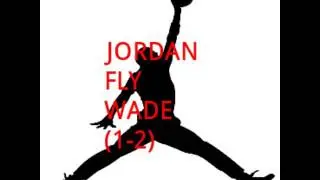 ALL DWAYNE WADE & TIM DUNCAN SHOES