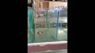 Weekly lfs update today at lck201 on 6th September 2016