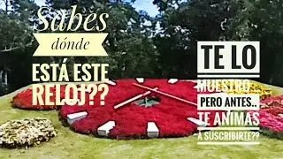 Reloj Floral.Parque Rivera