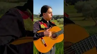 How to play&nbsp;&laquo;&nbsp;La Lucha&nbsp;&raquo; rumba flamenco acoustic guitar easy level for beginner tutorial
