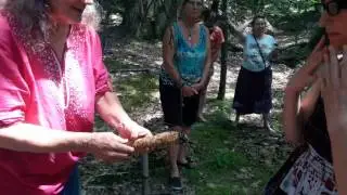 Cedar Smudge with Susun Weed