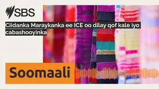 Ciidanka Maraykanka ee ICE oo dilay qof kale iyo cabashooyinka | SBS Somali - SBS Afsomali