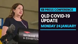 IN FULL: Queensland records another 13 COVID-19 deaths overnight | ABC News
