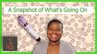 What is the Complete Blood Count (CBC)? | Heme Ed