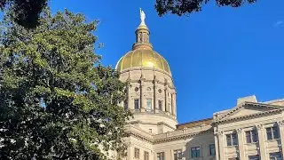 Georgia Democrats outline their key legislative goals