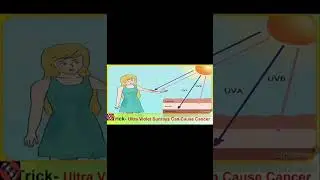 #shorts#example#greenalgae#Chlorophyceae#shorttricks#biologytricks #sciencetrick#viral #😁😄🥰🤣😂🤩