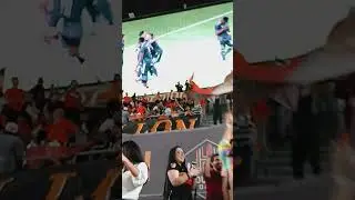 Dynamo fans celebrating a 1-0 goal by Bassi against NYFC!
