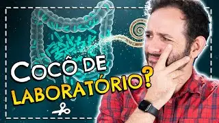 EXISTE TRANSPLANTE de FEZES? | Cortes do Manual do Mundo