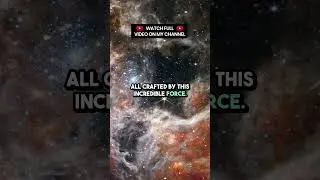 Gravity - The Universe's Ultimate Designer | Explainasphere #space #universe #shorts