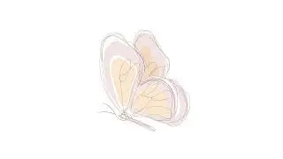 Butterfly Music - Velvet Night ( No Copyright)
