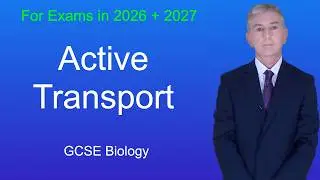 Подготовка к экзамену GCSE по биологии: &laquo;Активный транспорт&raquo;