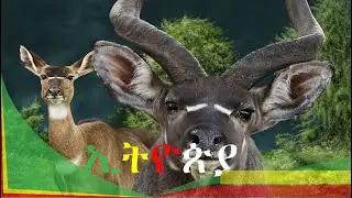 Ethiopian  Historical sites in Camera View