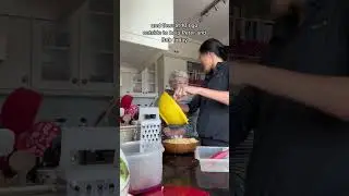 Work Exchange In New Zealand - What We Did Today