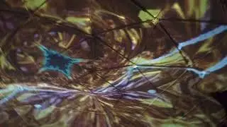 Fractal Portal & Ms.Psyjazz Live in Berlin 22.07.2017