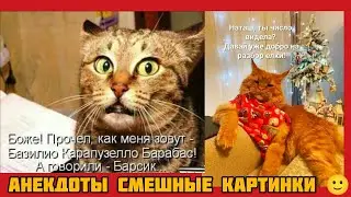 Прочел, как меня зовут -Базилио Карапузелло Барабас!А говорили - Барсик.смешные картинки и  музыка 
