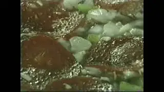 Delicious Jacks Pizza Commercial (2000)